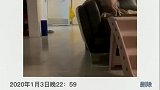 养狗的人都知道，回家后狗迎接时的热情