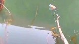 用树枝和塑料瓶都能约到鱼，在真正的资源面前一切都是浮云