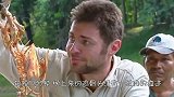 饿了十天的食人鱼，放入一条电鳗，下一秒场面直接失控！