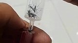 给蚊子打液化气，也太狠了吧