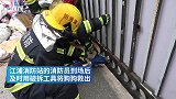宠物狗头卡进小区门孔，获消防解救后带着铁圈回家啦