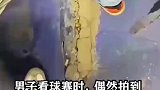 男子看球赛时，偶然发现这一幕