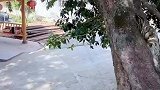 出来旅游迷路了，随了一百份子钱乐滋滋吃个席