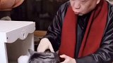 ⽂化界第⼀猫奴⻢未都 可以当馆长、可以出成书……猫猫的生活我慕了！