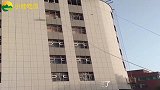 爆笑：将猫咪和鹦鹉关在一起，这就是一出好戏，太逗了