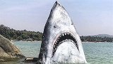 和鲨鱼合照你敢吗？国外一岸边惊现“大白鲨”，游客竟无人害怕！