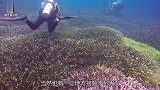 湖面出现一根生锈的铁管，拉上来后却是一辆坦克