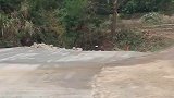 男子发现明明有位置停车，为什么非要停在路口