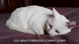 男子在家门口种植薄荷想驱蚊，没想到出去一看，简直是怀疑人生了