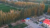 曾火爆的农家乐面临“关门潮”，老农哭诉没游客，城里人说出原因