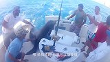 海狮偷偷上岸偷吃鱼，吃完还赖着不走，非要狗子来驱赶