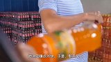 世界上最蠢的小偷，太搞笑了