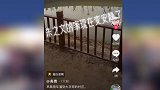 踹门风波后朱之文的家变安静了给村里捐建的景点空无一人