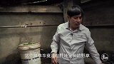 十年过去了，四川猪坚强的晚年生活如此安逸