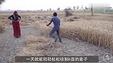 印度牛人发明“割麦神器”，一天轻松割6亩，网友：真省力！