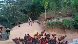 一个被养鸡耽误的舞蹈家，这个女人真的太厉害了！