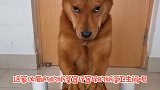 狗剩子，你这么喜欢纸，你五行缺纸啊！