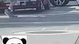这位大爷在遛一种非常新奇的宠物