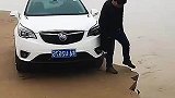 艺高人胆大，这都不跑吗