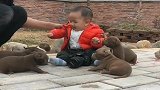 自从生下一窝恶霸犬，宝宝可高兴坏了，眼前一幕太温馨了