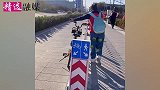 女子严格遵守指示牌，路上“硬核”人车分流，网友理解的太透彻