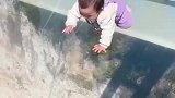 萌娃爬玻璃栈道丝毫不怕