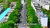 网传四川岳池县一公交滑入水田？官方：属实，人车均无事