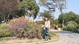 魏新雨这首《百花香》甜美好听，听完感觉谈了一场甜甜的恋爱