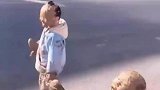 拥有完整的童年，是每个人类幼崽的愿望
