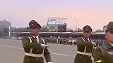 国外阅兵式中的军犬方阵，这么小的金毛就被迫出来营业了吗