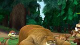 熊出没：熊大举办丛林大练兵！光头强要开溜还是被抓回来了