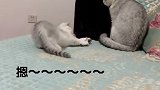亲生的，我们看着你出生的，别怕