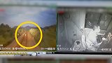 男子铁轨上拍视频提醒安全，没想到下一秒火车驶来自己被撞身亡