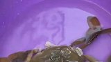 男子买到一只软壳蟹，却不知道是什么蟹