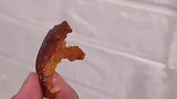 男子想拿肉皮引诱睡觉的狗狗