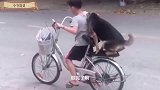 熊孩子骑自行车带着狗子，太搞笑了