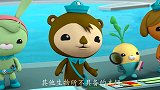 海底小纵队：谢灵通看到水母，迫不及待和队长碰面，怕水母出意外