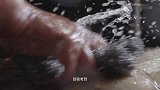 人生一串：粗暴的处理，却最好的保存，猪肉原味