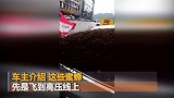 车主想哭！蜂王赖在车上不肯走，万只蜜蜂围攻私家车