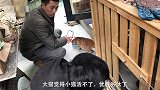 流浪猫妈狗窝产子，母性勇气让人动容！