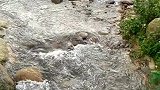 夏日炎炎，洗个澡多好