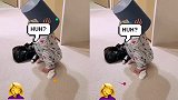 奚梦瑶曝光儿子正面脸，头套垃圾桶萌翻天，眼睛像极了妈妈