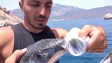 外国小伙让食人鱼咬易拉罐，结果太吓人了！