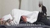 铲屎官倒地不起，猫咪会见死不救吗？看到最后差点笑哭