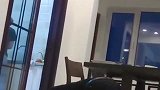 爷爷第一次见小孙子，两人就展开了巅峰对决，眼前一幕看完都别笑