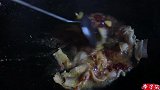 李子柒用豆瓣酱做了个快速的美食，方法好简单