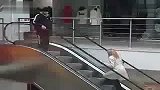 美女上个楼怎么这么费劲呀