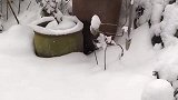 终南阴岭秀积雪浮云端