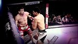 UFC-14年-UFC Fight Night 41柏林站宣传片II：多拉维vs卡莫特-专题