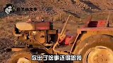 熊猫：你们就是这么对待国宝的吗